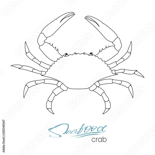 Silhouette crab. Linear silhouette crab. Crab badge for design seafood packaging and market, food packaging or underwater sea animal themes design. Vector illustration.