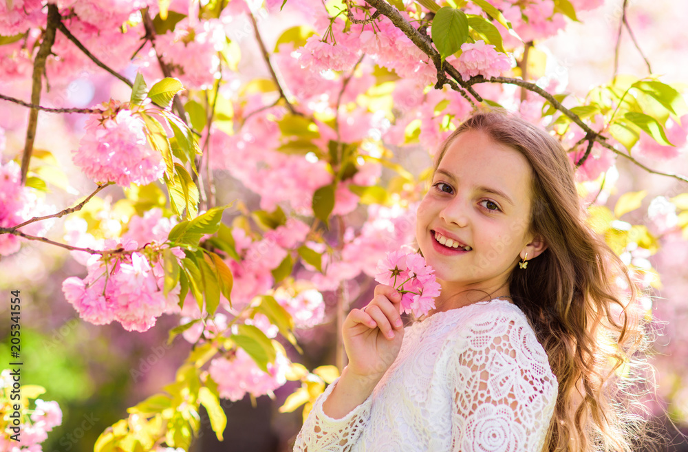 Girl on smiling face standing near sakura flowers, defocused. Cute child enjoy aroma of sakura on spring day. Perfume and fragrance concept. Girl with long hair outdoor, cherry blossom on background. Girl on smiling face standing near sakura flowers, defocused. Cute child enjoy aroma of sakura on spring day. Perfume and fragrance concept. Girl with long hair outdoor, cherry blossom on background.