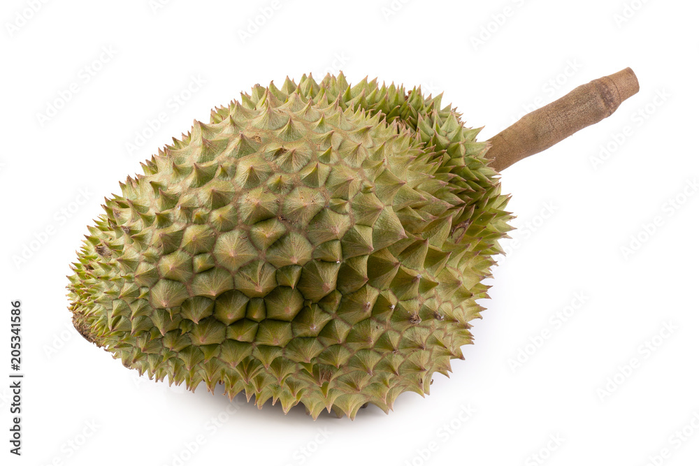 King of fruits, Durain isolated on the white background King of fruits, Durain isolated on the white background