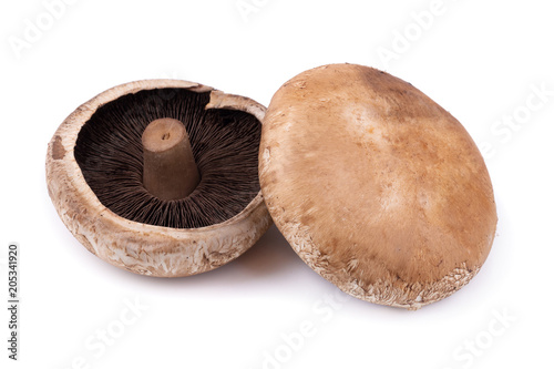 Portobello mushrooms isolated on a white background photo