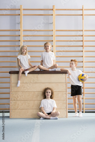 School girls on pommel horse photo