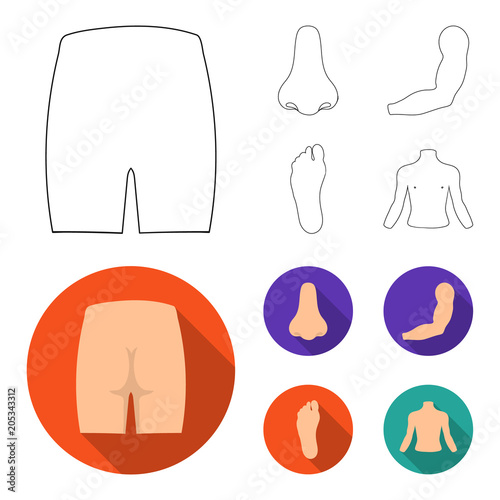 Buttocks, nose, arm, foot. Part of the body set collection icons in outline,flat style vector symbol stock illustration web.