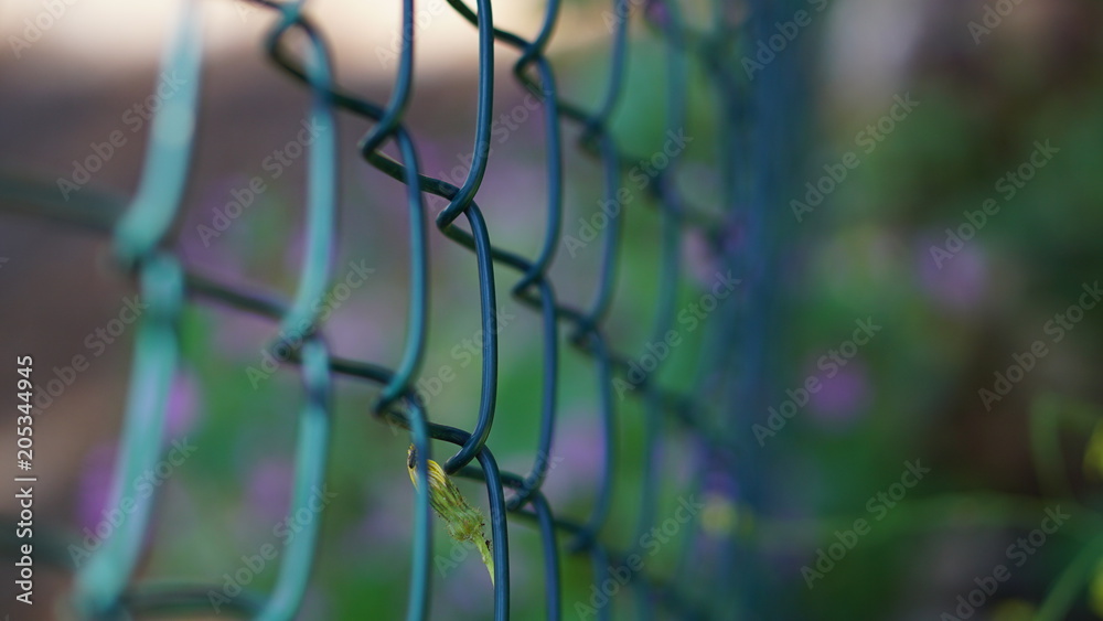 safety wire for garden