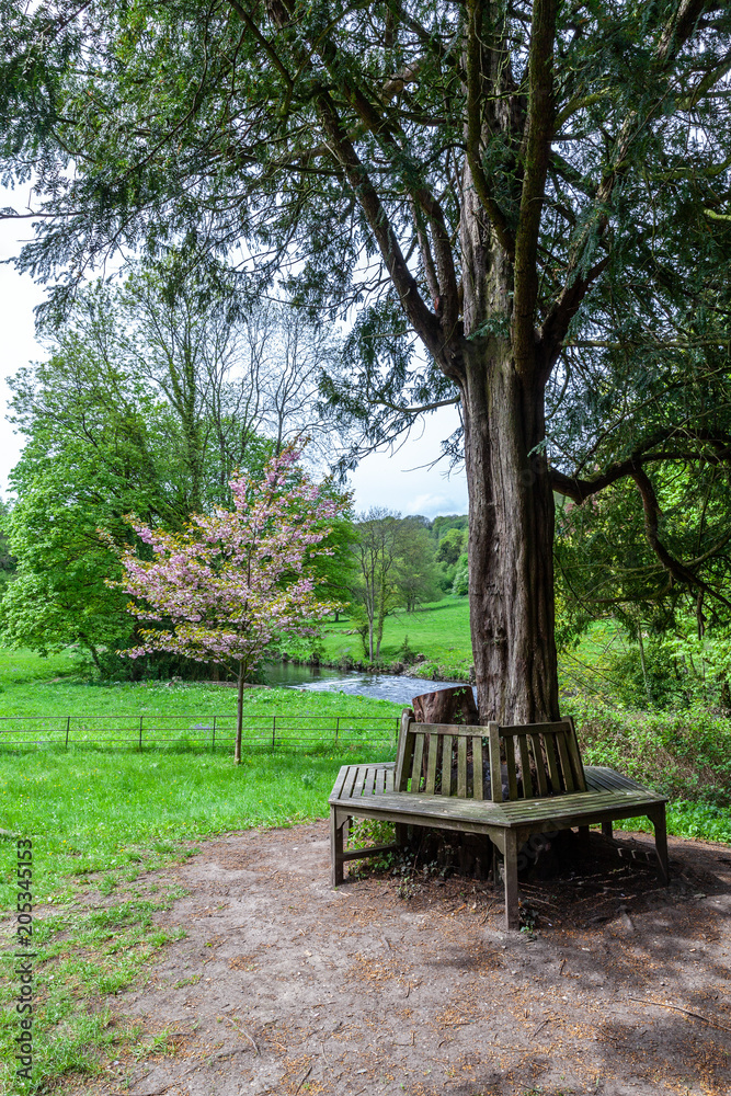 Wooden bench under an old tree in a church yard, in Cromford, Derbyshire, Wooden bench under an old tree in a church yard, in Cromford, Derbyshire,