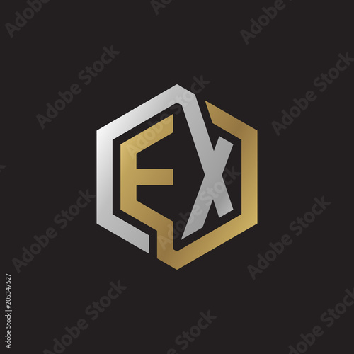 Initial letter EX, looping line, hexagon shape logo, silver gold color on black background