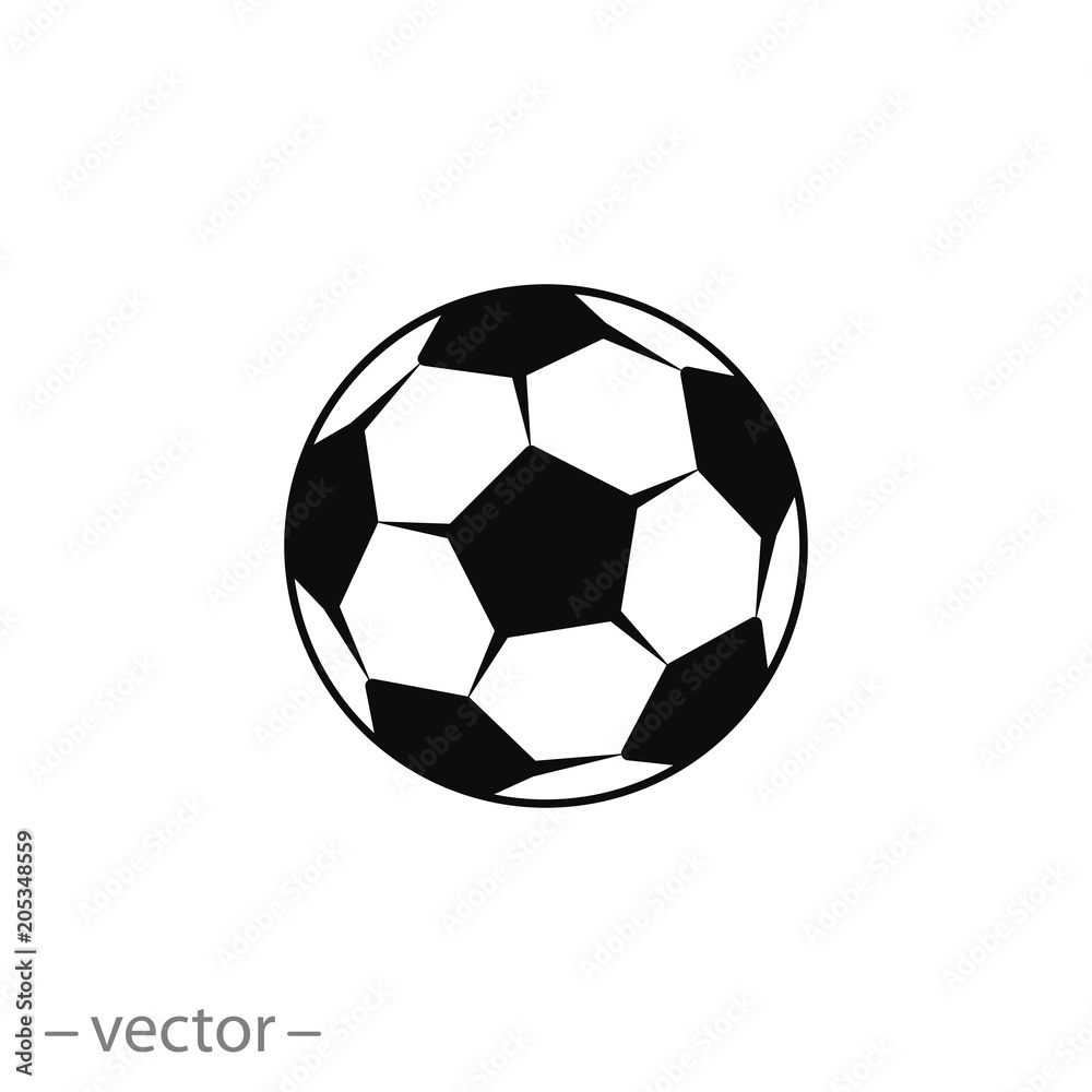 Soccer ball vector icon Soccer ball vector icon