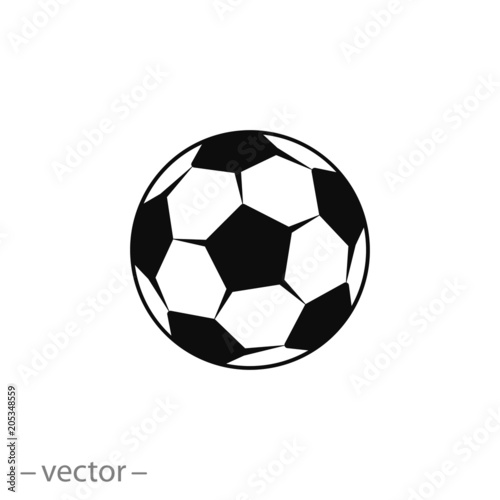 Soccer ball vector icon