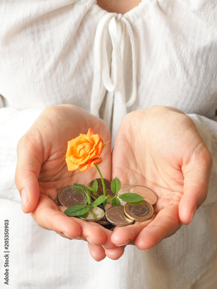 Coins dirhams in hand and rose. The concept of business growth and success. Stable development economy. Coins dirhams in hand and rose. The concept of business growth and success. Stable development economy.