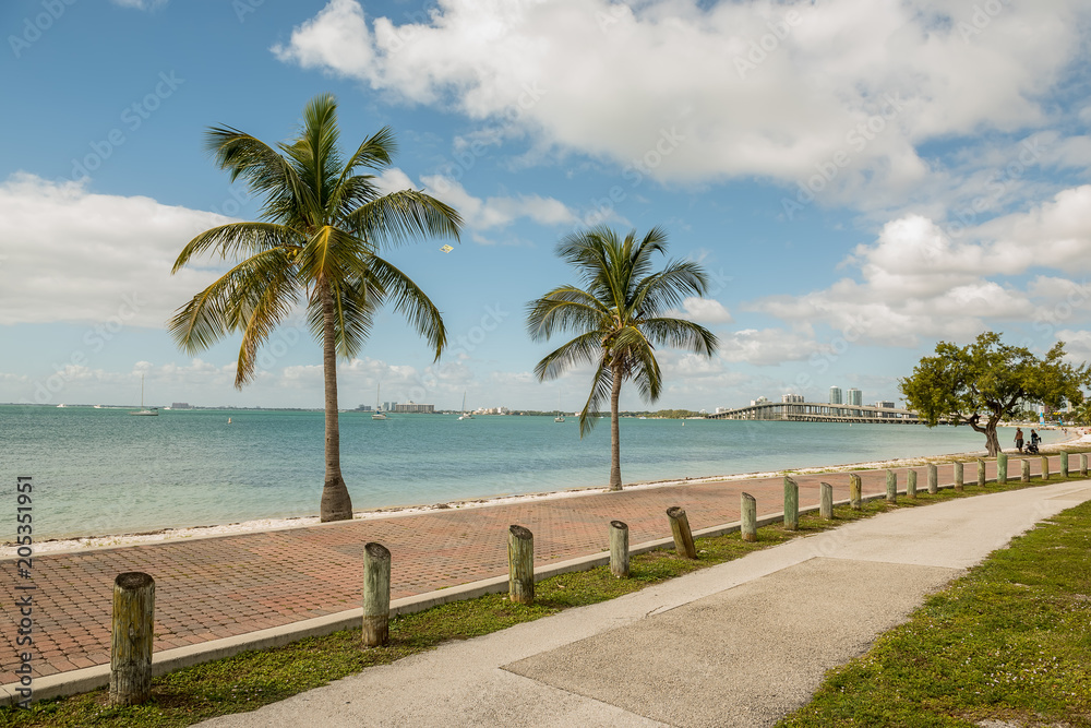 The embankment of Miami. Pedestrian zone and palm trees along the bay, skyscrapers on the other shore. Sunny day. USA. Florida.
