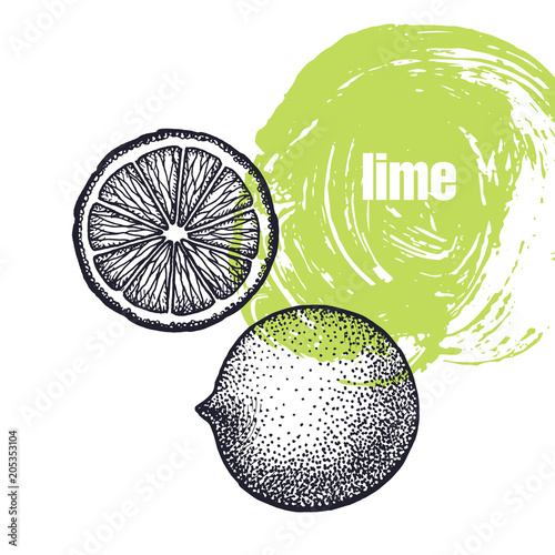 Realistic illustration of lime fruit isolated on white background.