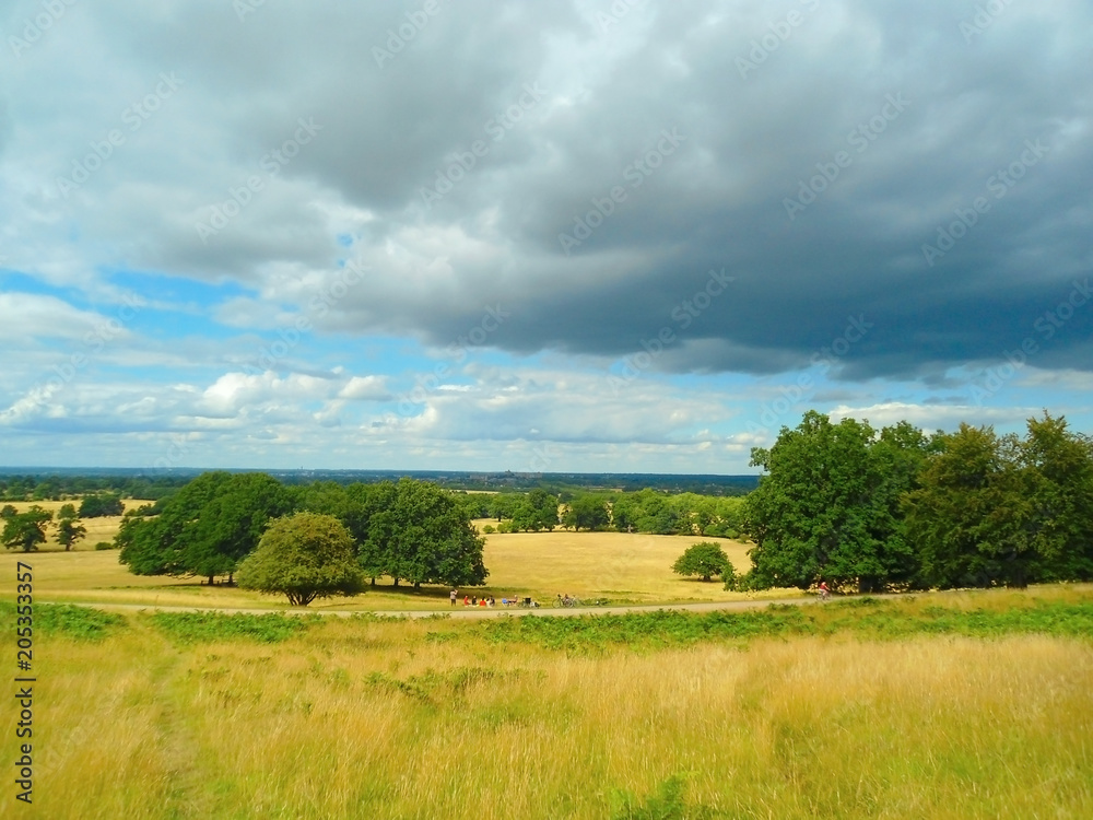 vast fields in Windsor Great Park (England); group of people on a picnic