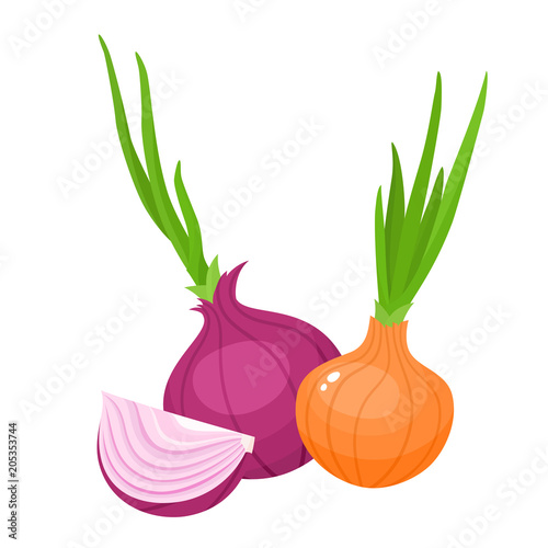 Vector illustration of cartoon red, yellow onion isolated on white