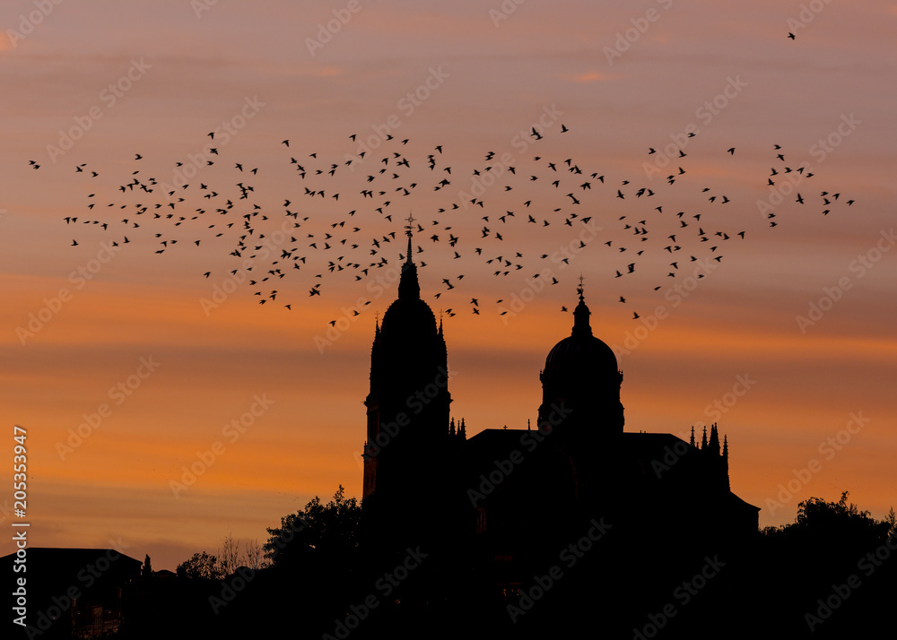 Bandada de pájaros sobre las torres de la catedral de Salamanca al atardecer