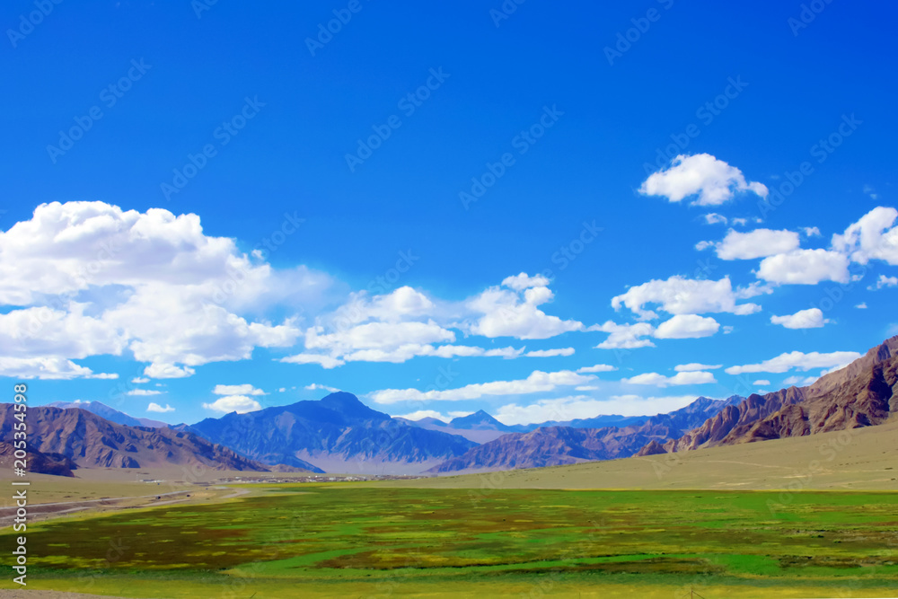 floodplain meadows in high mountains of Tibet