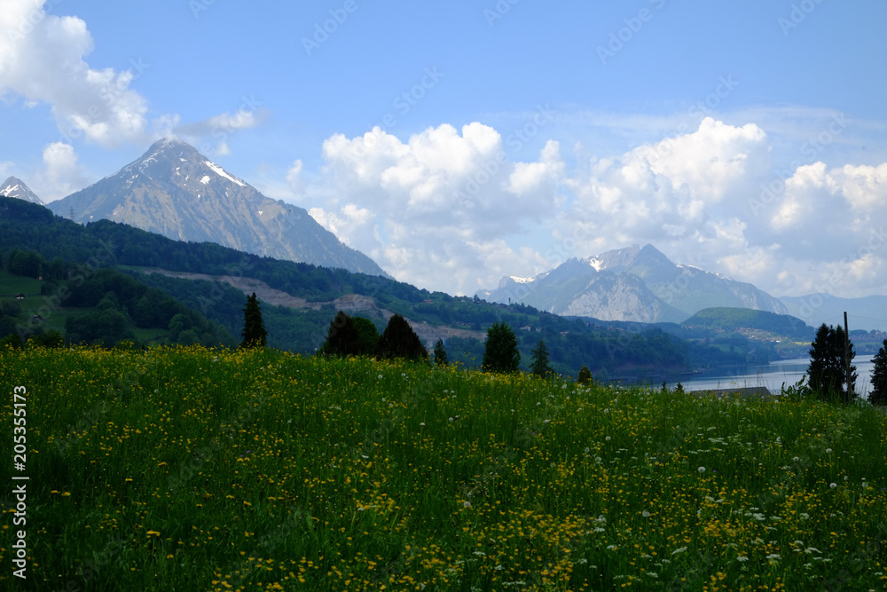 Bergpanorama im Berner Land (CH)