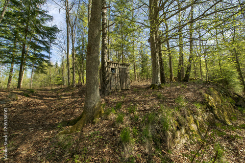 Fototapeta Naklejka Na Ścianę i Meble -  In woods and fields