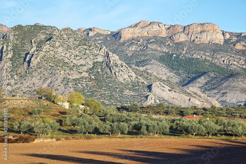 Fields near Camarasa village and Montsec mountains photo