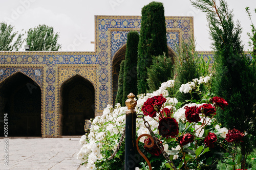 Fototapeta Naklejka Na Ścianę i Meble -  White and red roses on a beautiful Iranian courtyard - selective focus on the foreground