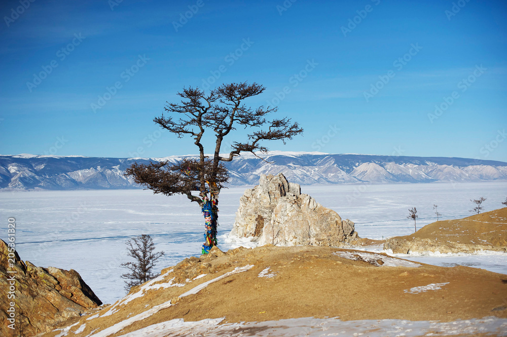 Pine Tree with colorful cloth to worship Shaman rock in frozen Baikal lake  during winter with mountain range and blue sky in background,Siberia,Russia  Stock Photo | Adobe Stock