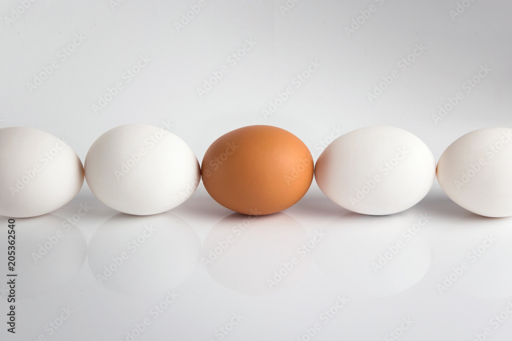 Individuality; uniqueness. Group of white eggs and one beige; brown concept exclusivity; better choice; loneliness; rejection