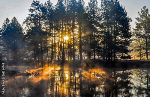 Morning in forest with sun rays and a fog from the river