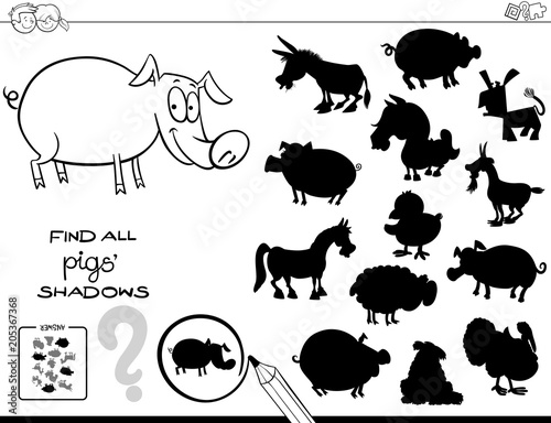 shadow game with pigs color book