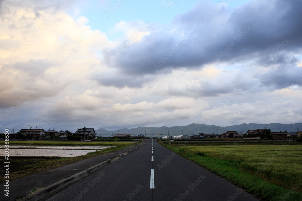 Straight country road between green rice fields under cloudy sky