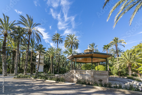 Una vista del jardín, Palmeral de Elche, en la provincia de Alicante, España. Patrimonio de la Unesco