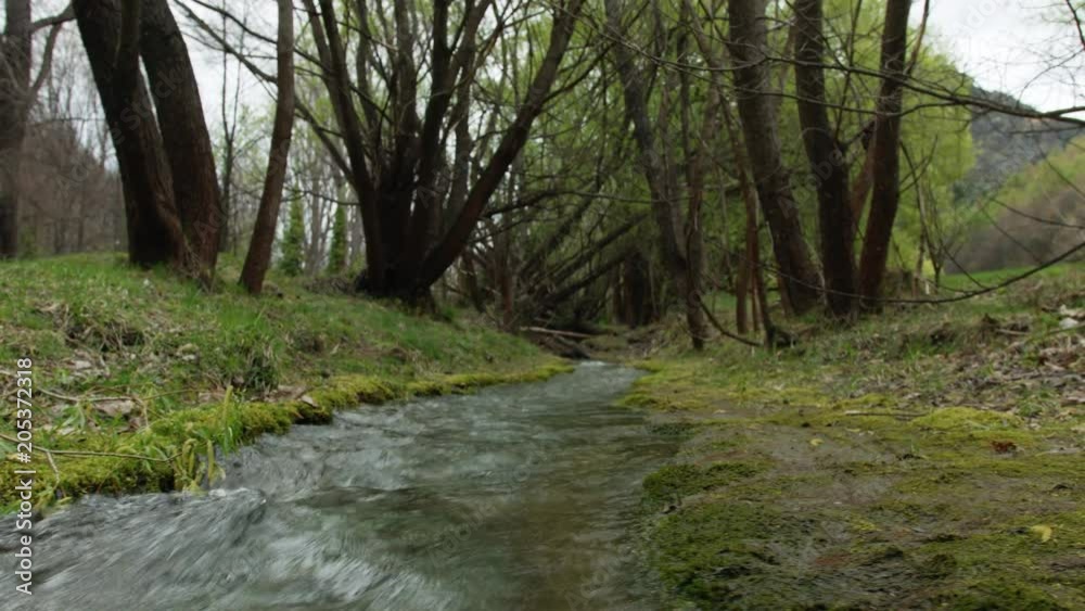 Tracking shot left to right small river by green trees Tracking shot left to right small river by green trees