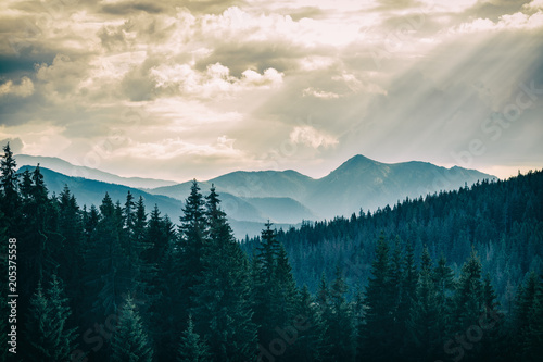Fototapeta Naklejka Na Ścianę i Meble -  Inspiring Mountains Landscape, beautiful summer day in Tatras, Poland