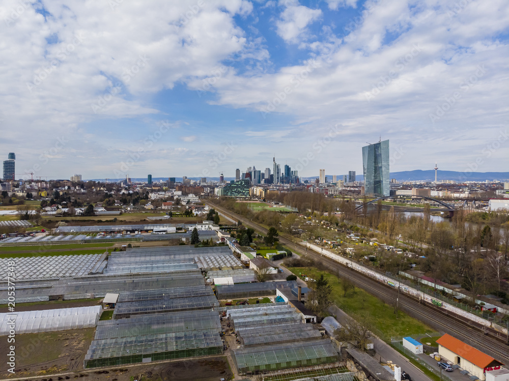 Fototapeta premium Skyline von Frankfurt mit EZB und Henniger Turm vorne Spargelanbau, Frankfurt am Main, Hessen, Deutschland