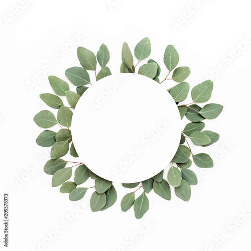 Wreath frame made of branches eucalyptus isolated on white background. lay flat, top view