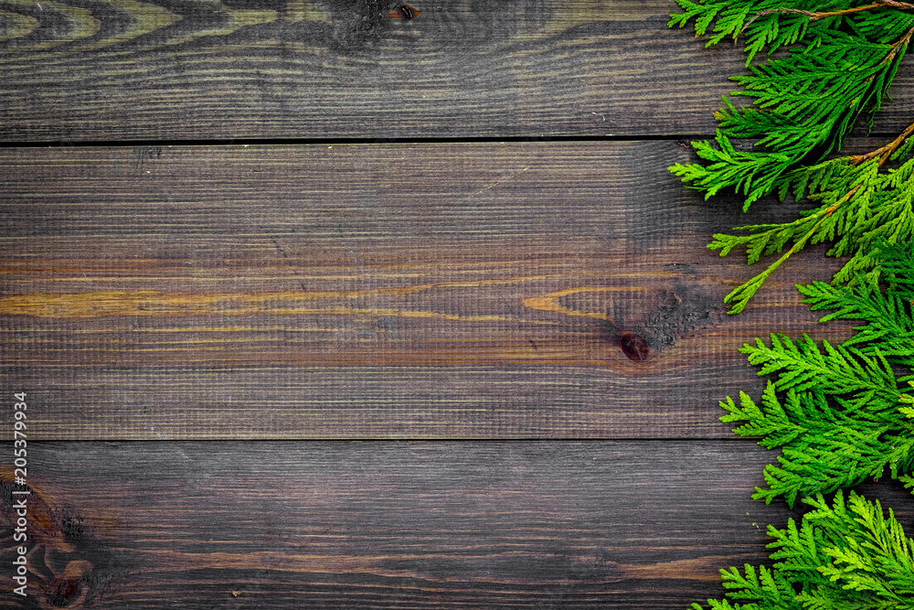 Juniper frame for poster or design. Juniper branches on dark wooden background top view copy space Juniper frame for poster or design. Juniper branches on dark wooden background top view copy space
