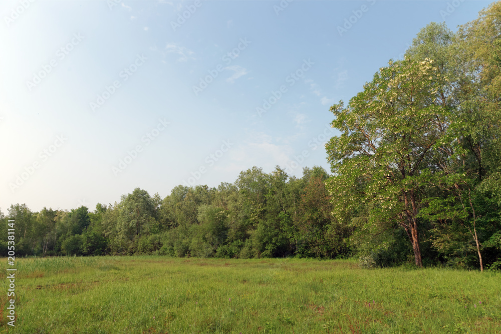 Obraz premium Nature reserve of the Sorques plain in Île de France