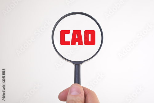 Businessman looking at a magnifying glass word:CAO