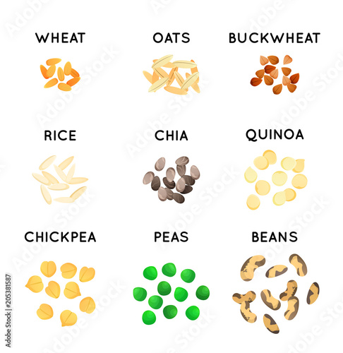 Grain and beans of different agricultural species. Graphic Cereals for label and packaging