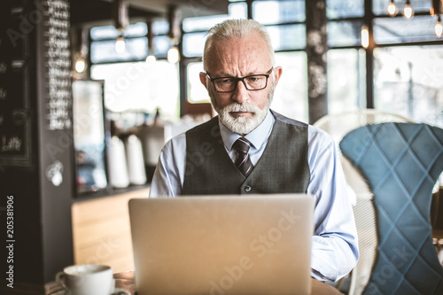 Senior businessmen working on laptop. Portrait.