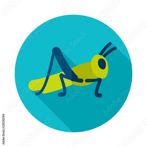 Grasshopper locust icon