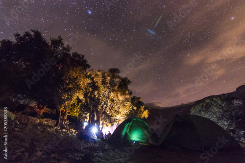 forest with bonfire at night with stars on sky