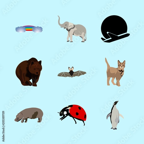 animals icons set