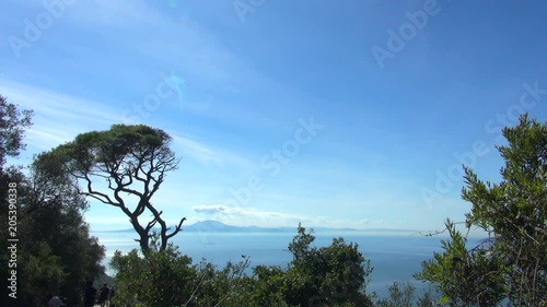 Rock of Gibraltar with Trees and Sea View