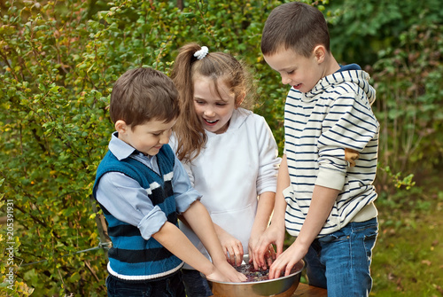 children squeeze grapes with their hands