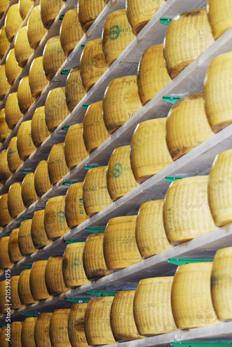 FORME DI PARMIGIANO, Parmisan Cheese photo