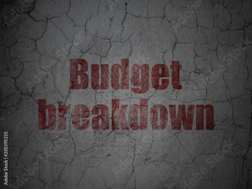 Business concept: Red Budget Breakdown on grunge textured concrete wall background