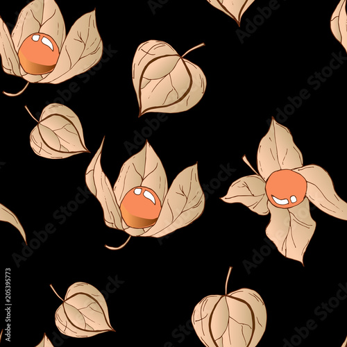 Vector seamless pattern with colored autumn phyisalis on black background.