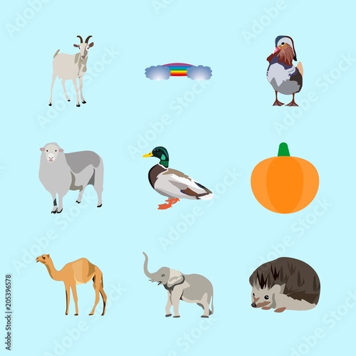 Fototapeta Naklejka Na Ścianę i Meble -  animals icons set