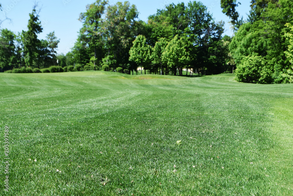 golf field Ukraine