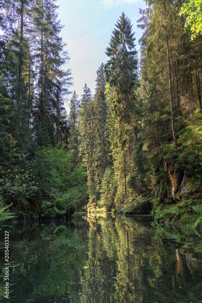 Travel destination Kirnitzschtal at the Saxon Switzerland in Germany 