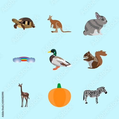 animals icons set