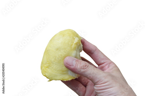 durian king of fruit on human hand in white background